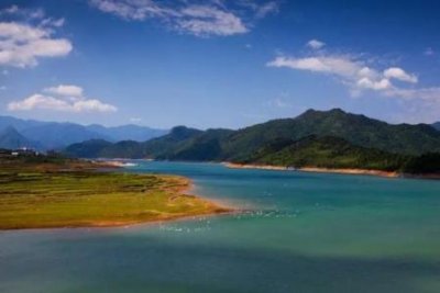 ​东莞市最长公交线路哪条线可直达光明城？