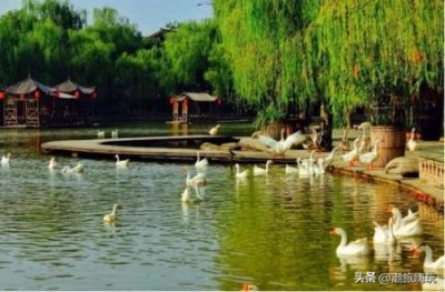 ​四川旅游的景点有哪些不可错过的十大必游胜地