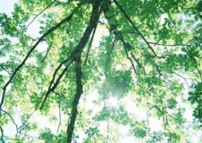 ​太行山自驾游最佳路线图攻略？详细路线攻略一览