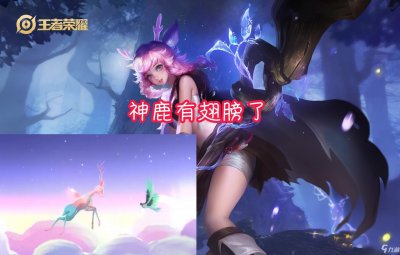 ​王者荣耀瑶情人节多少钱 瑶情人节限定皮肤价格介绍