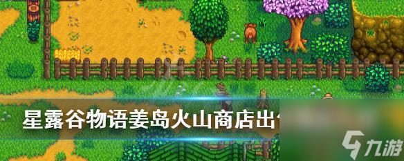 星露谷物语姜岛宝石鸟摆放顺序攻略（最新攻略分享）