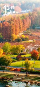 ​定了！武汉拟上新一座江滩公园