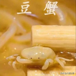 ​豆蟹