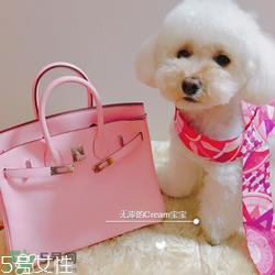 hermes birkin怎么看真假?爱马仕铂金包真假鉴别 hermes birkin怎么看真假?爱马仕铂金包真假鉴别