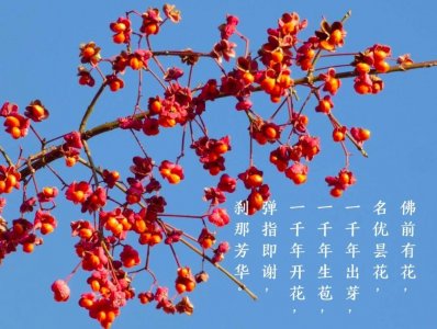 ​用这个方法，一分钟制造出高调又有内涵的加字图片，想低调都难