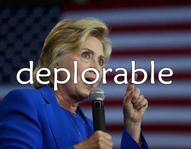 ​每日单词：deplorable
