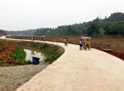 ​这些新农村政策内容你都了解吗？