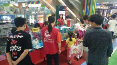 ​喜欢狗狗的郑州小伙伴快来啦 这里有旺旺免费领养