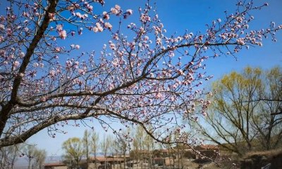 ​探访阳原古村落 | 革命老区——上庄村