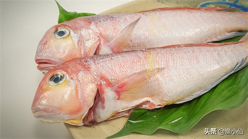 脑袋像马头的一种海鲜，肉质柔嫩鲜美，时不时吃一次还是很不错的