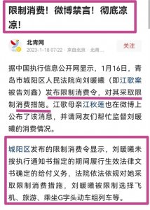 ​刘鑫的闺蜜怒斥青岛中院，欺负小姑娘！知情人透露，她的真实身份