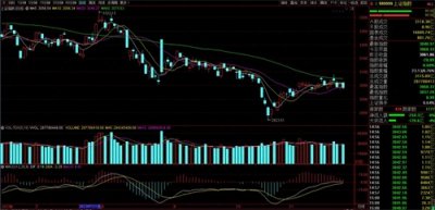 ​比亚迪为何突然大跌？