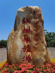 ​说说含“喜”字的成语大世界