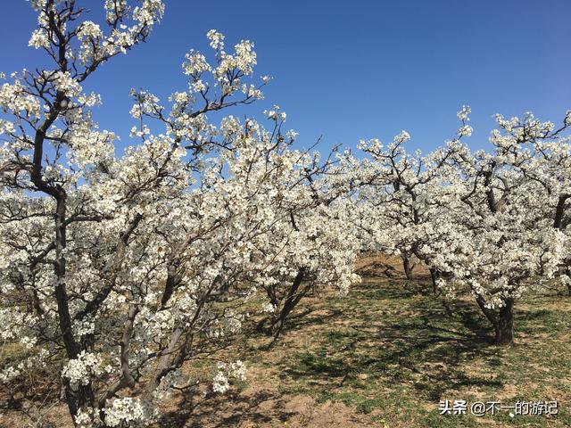 天津自驾游两日游攻略：天津周边自驾二日游攻略(3)