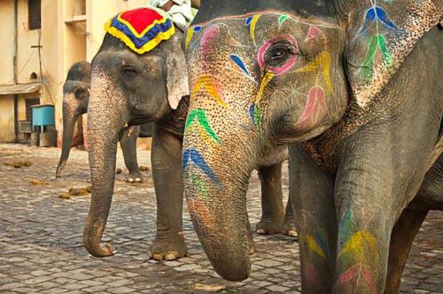 印度gdp下滑比英国少怎么被反超（印度的吹捧史为了提高GDP指数）(9)