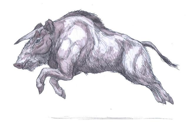 我国养猪业的发展史（我国近万年养猪史）(3)