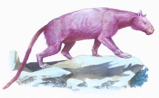 我国养猪业的发展史（我国近万年养猪史）(2)