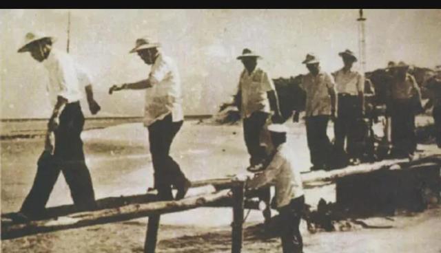 永兴岛的发展(我国正在把永兴岛打造一个新的城市)(10)