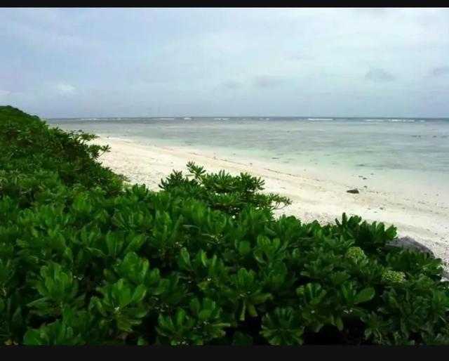 永兴岛的发展(我国正在把永兴岛打造一个新的城市)(5)