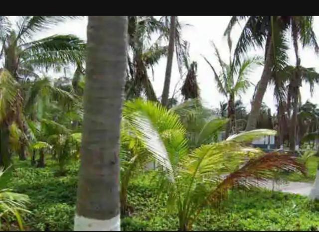 永兴岛的发展(我国正在把永兴岛打造一个新的城市)(4)