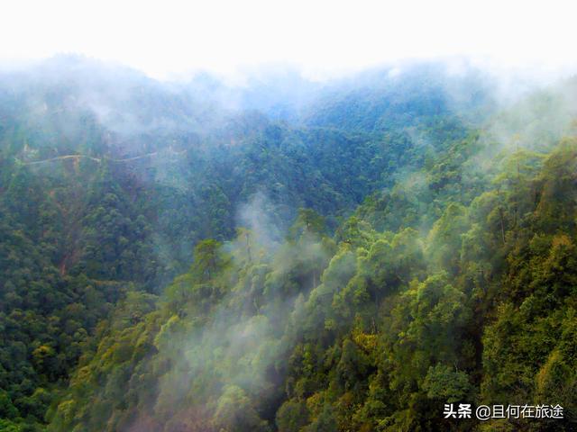 广东阳山第一峰风景（广东的最高山峰在阳山）(11)