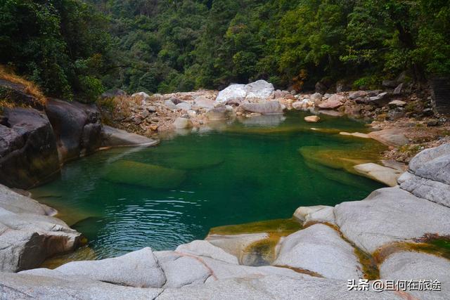 广东阳山第一峰风景（广东的最高山峰在阳山）(5)