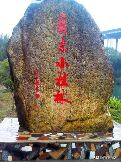 广东阳山第一峰风景（广东的最高山峰在阳山）(14)