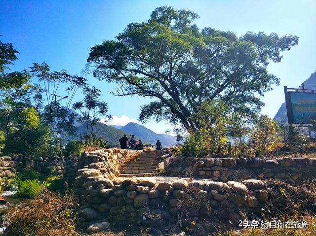 广东阳山第一峰风景（广东的最高山峰在阳山）(16)