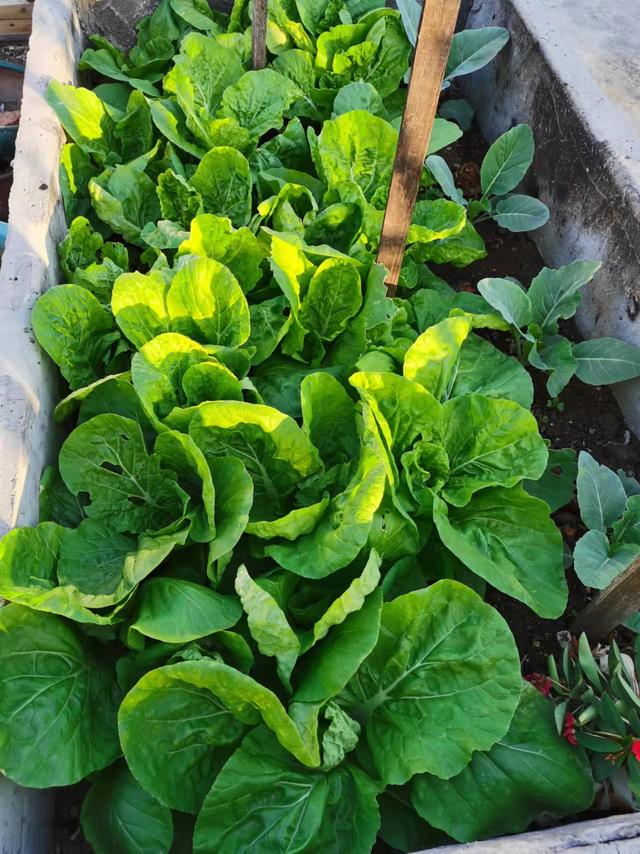 广州家庭常备应急物品储备清单（家庭常备应急物资也是一种社会责任）(10)