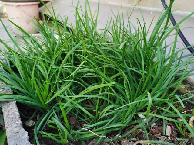 广州家庭常备应急物品储备清单（家庭常备应急物资也是一种社会责任）(7)