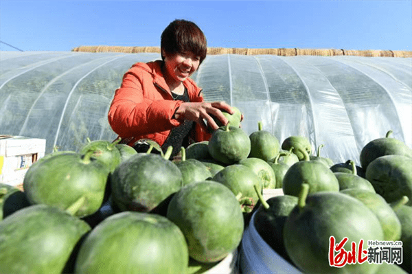 乐亭县属于哪个市(河北乐亭县是哪个市)