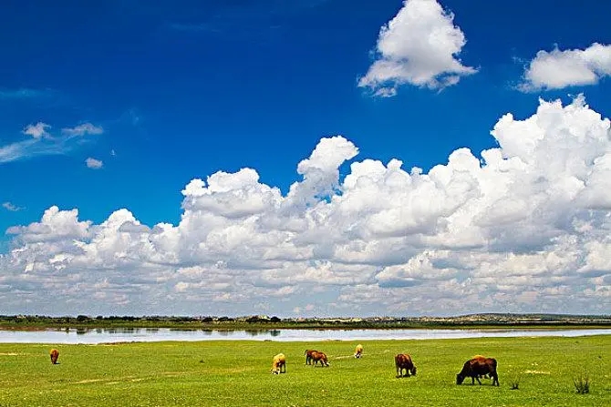正蓝旗属于哪个市(内蒙古正蓝旗属于哪个市)