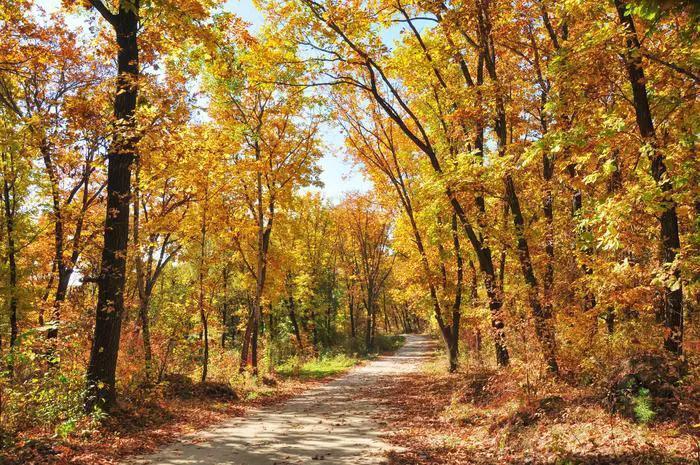 榆树市属于哪个市(吉林榆树属于哪个市)