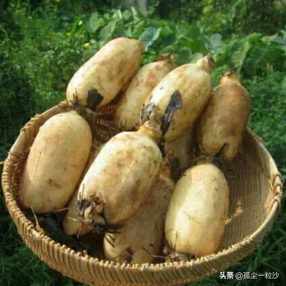 卫辉市属于哪个市(河南卫辉市属于哪个市)