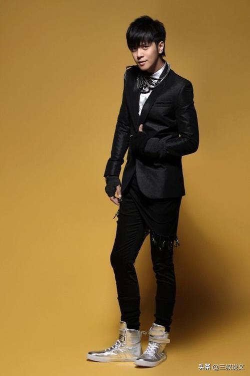 四大天王唯一同台演唱会（他是歌坛新的四大天王）(6)