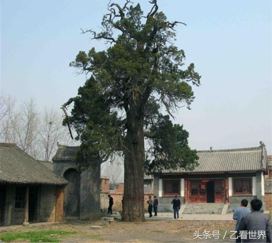 伊川县属于哪个市(河南伊川县属于哪个市)