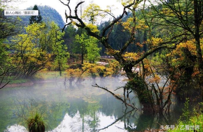鹤峰县属于哪个市(湖北鹤峰县属于哪个市)