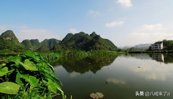 兴业县是广西哪个市(广西省兴业县属于哪个市)