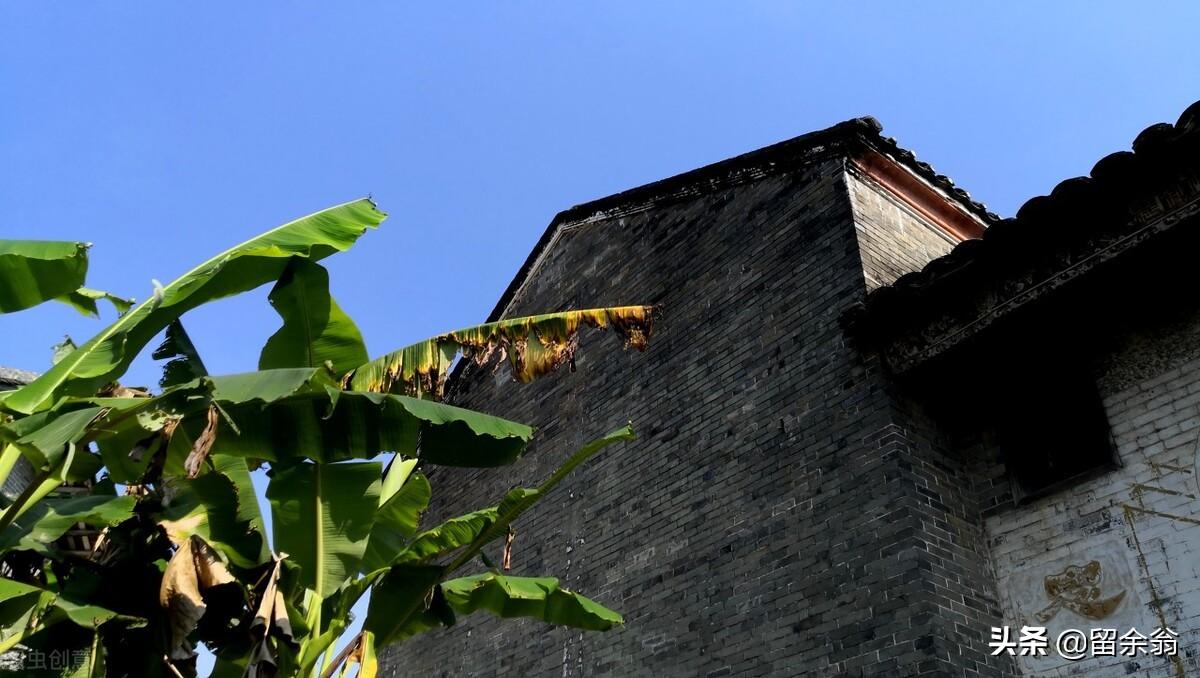 兴业县是广西哪个市(广西省兴业县属于哪个市)