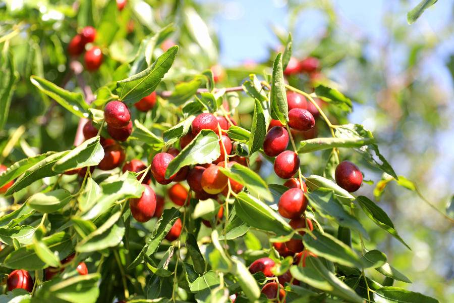 庆云县属于哪个市(山东省庆云县属于哪个市)