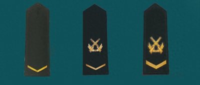 ​新兵授衔仪式，三种军衔同步授予