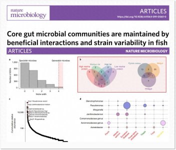 ​Nature插图复现：韦恩图