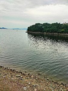 ​谈谈创业人生之1～我的创业历程