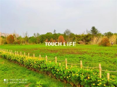 ​【深度剖析】成都三圣乡农家乐，为什么现在“乐”不起来？