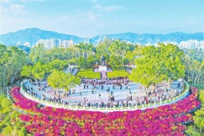 ​深圳红色印记丨莲花山公园