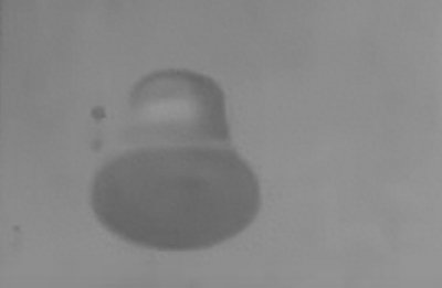 ​纳粹钟：一场神秘实验的幕后纷争