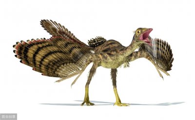 ​爬行类动物是鸟类的祖先？连恐龙都脱不了干系