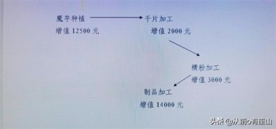 ​魔芋价格暴跌，魔芋从金蛋蛋变成土球球，种植户该何去何从？