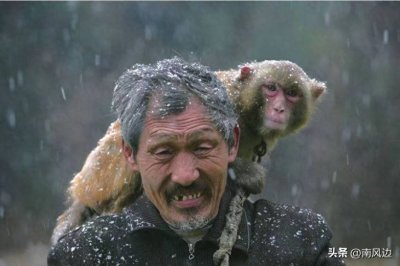 ​耍猴人那些事儿