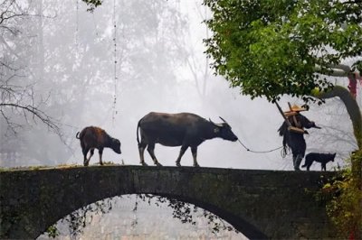 ​悟透“老牛吃嫩草”的下半句，你就能理解它的原意，不再被误导